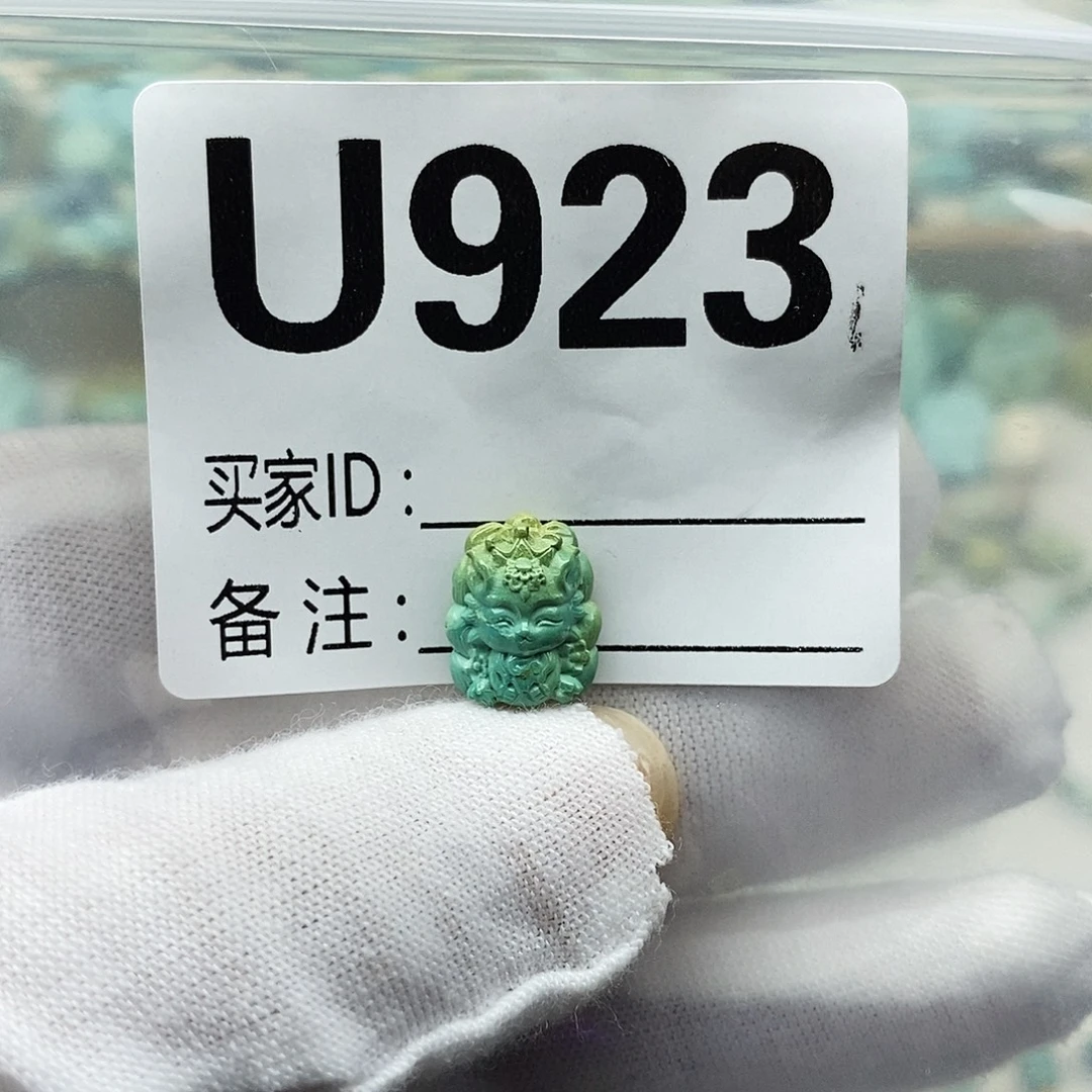 郭***未镶嵌绿松石配饰