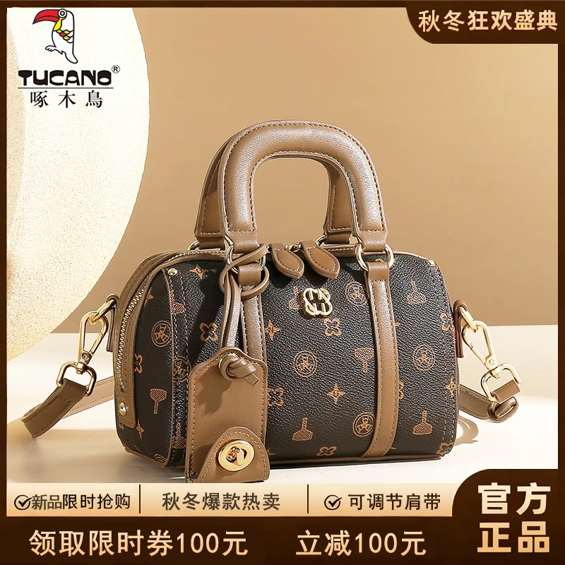 秋冬百搭经典潮流休闲简约女士包包小众斜挎手提时尚斜挎枕头包