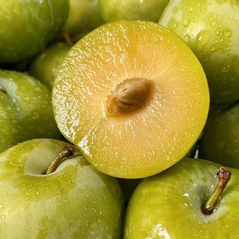 （送半斤）黄金奈李皮薄肉厚多汁整箱时令水果酸甜脆口感孕妇包邮