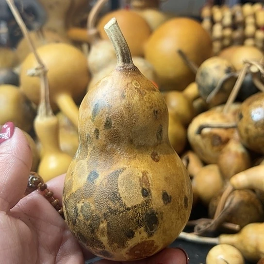 立*葫芦葫芦葫芦葫芦