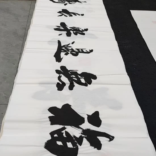 翰墨申国栋老师作品一副