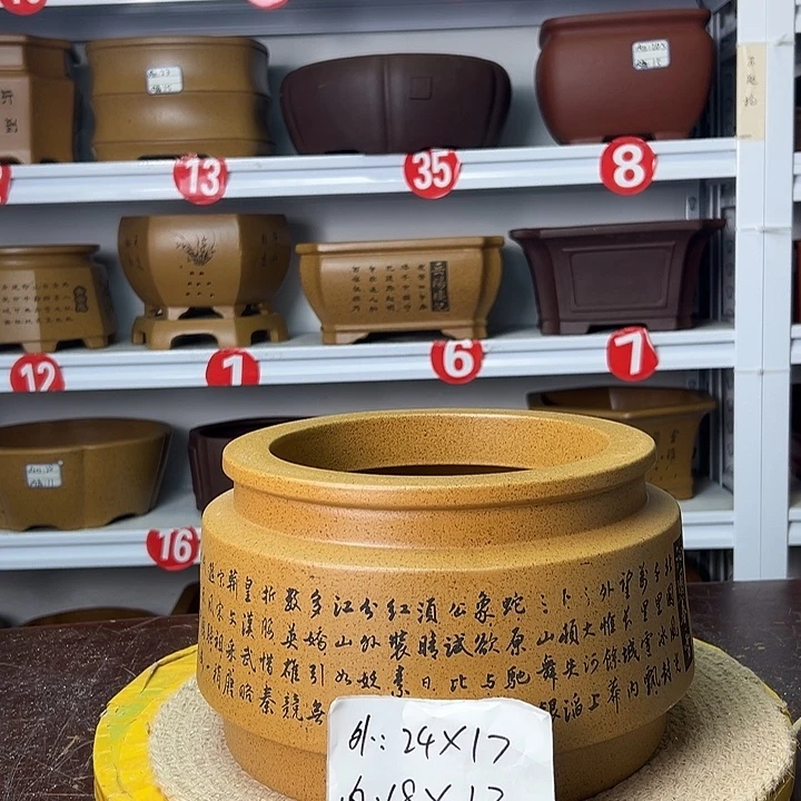 花盆紫砂你是不是