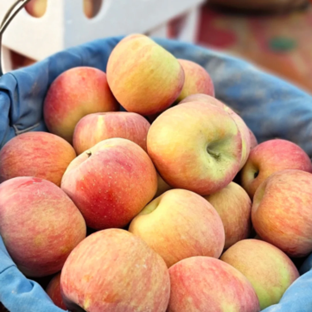 新疆阿克苏苹果苹果一箱上海市