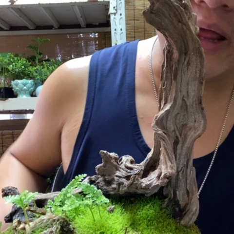 红陶拾**漫一物一拍所见即所得64