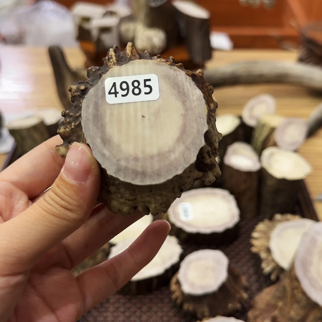 手串/手链鹿骨4985角帽