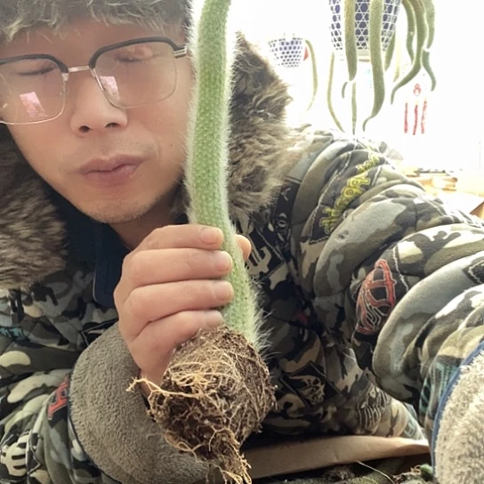 一物一拍长22公分