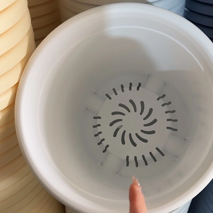 四季5号纯白无托10个特价