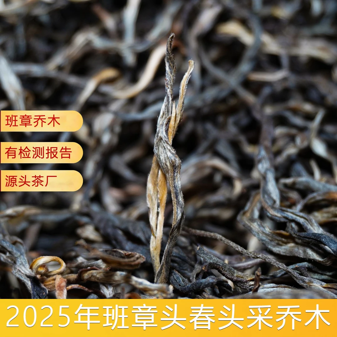 苦茶班章老曼峨散茶.正宗云南普洱茶头春头采源头茶叶