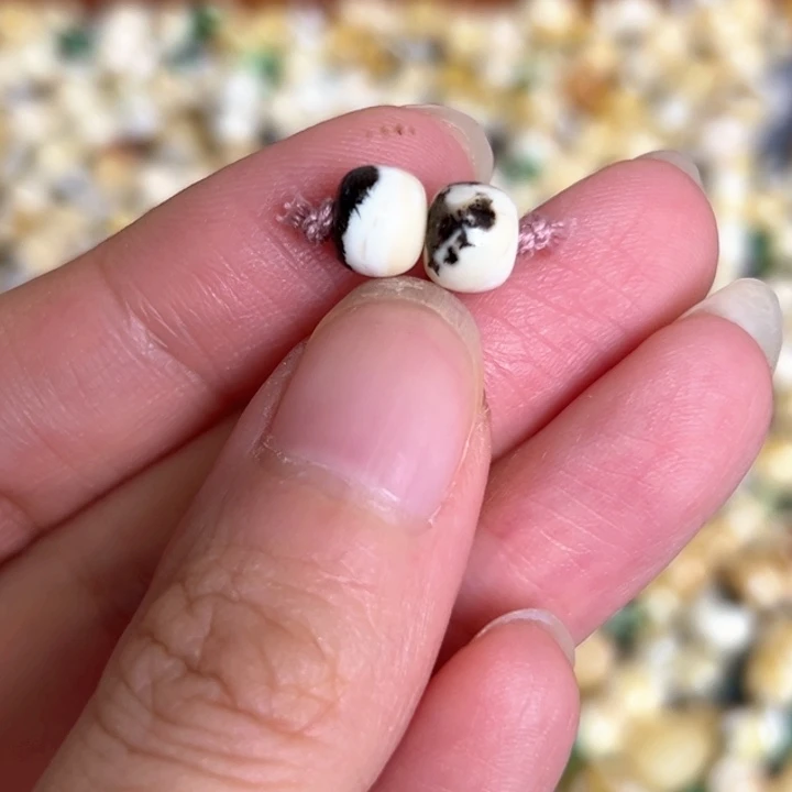 未镶嵌蜜蜡裸石7mm一对