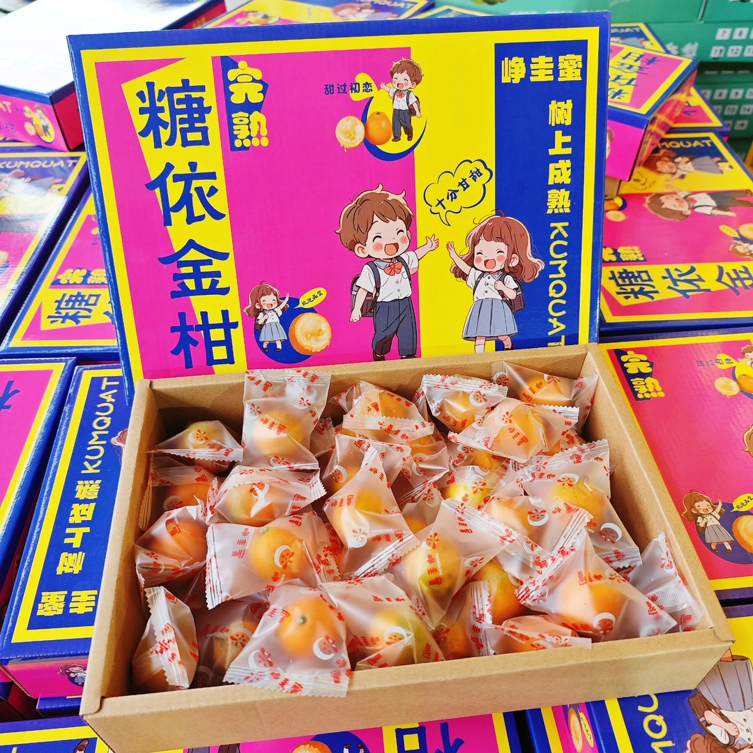 糖依脆蜜金柑 树上熟 脆甜好吃 礼盒装
