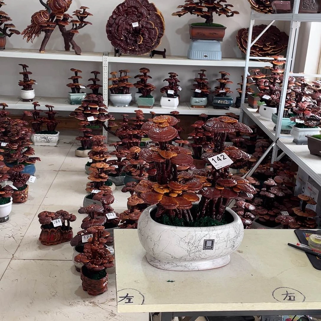 全部花朵142号8888888