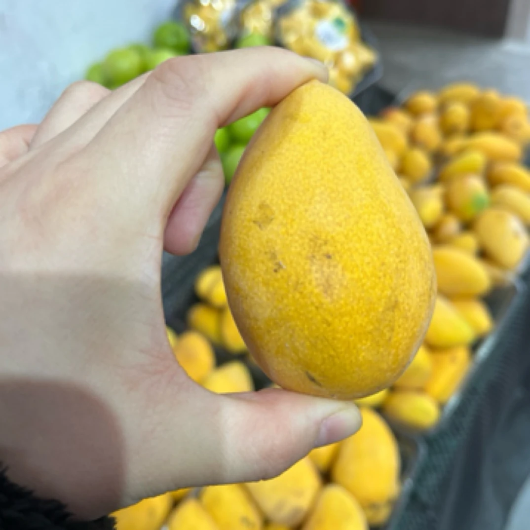 活动台芒2斤