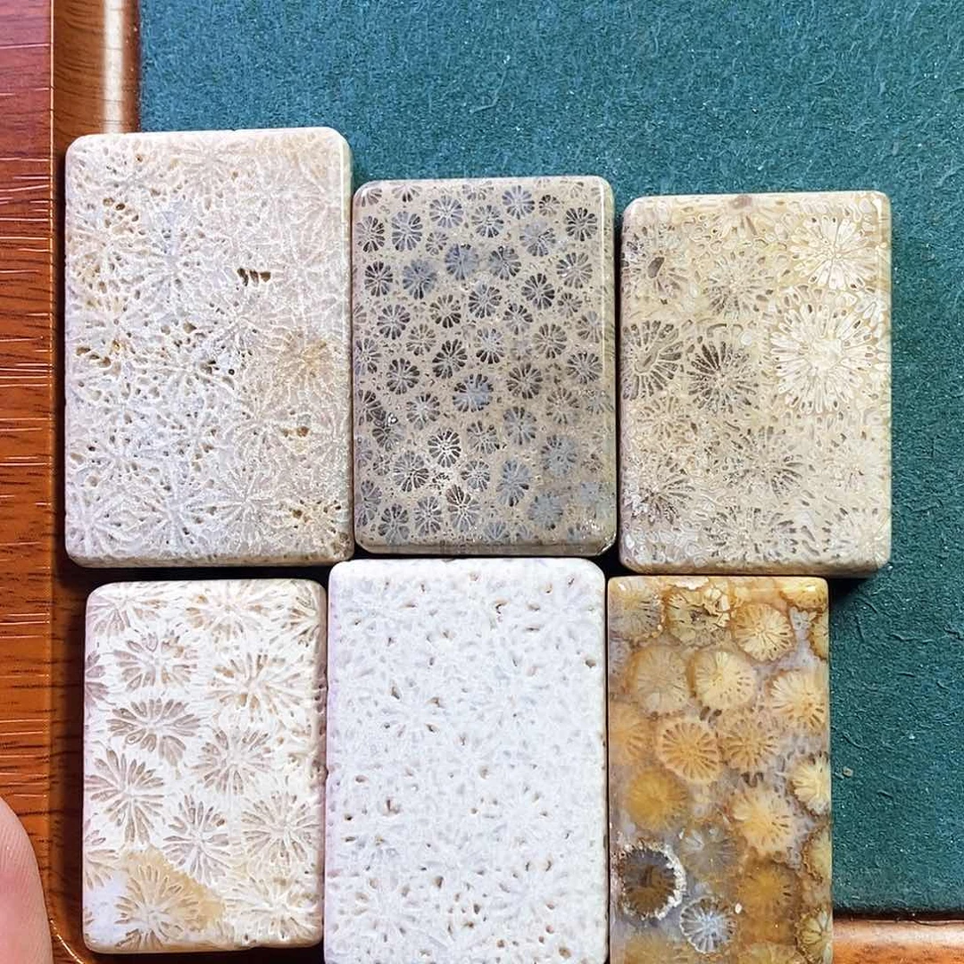 硅化珊瑚（珊瑚玉）吊坠未镶嵌