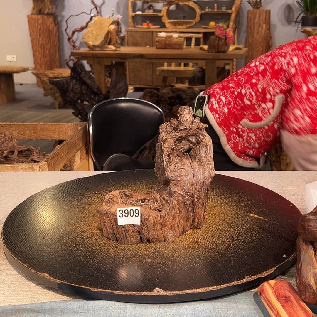 木?****?3909ggggggggggggg