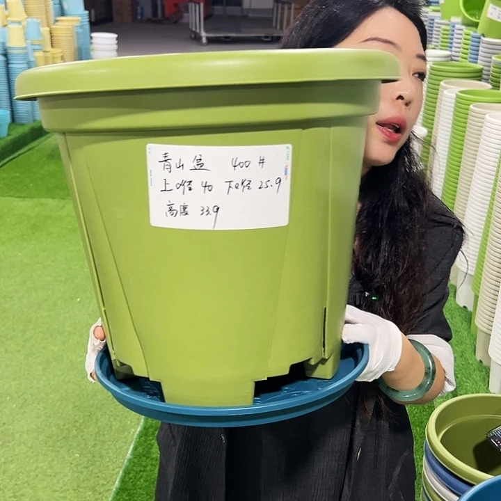 清仓青山口40高34果绿3只带托