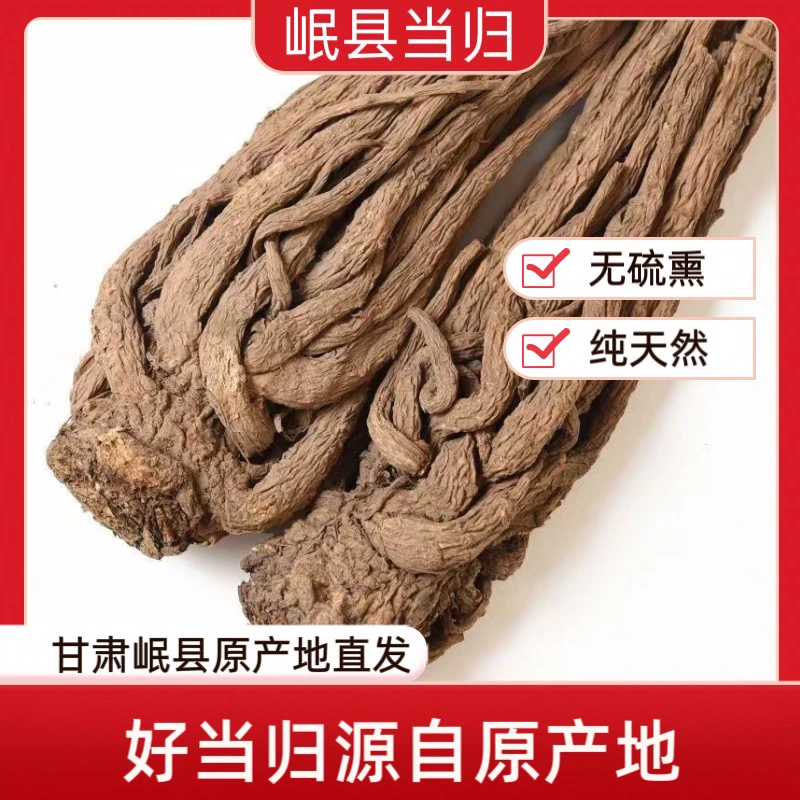 甘肃岷县精选正宗当归可煲汤炖肉泡酒煮水滋补养生中药材