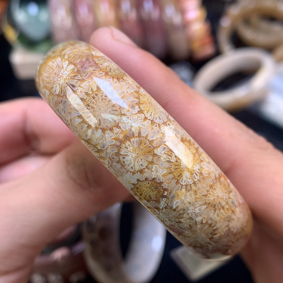 【闪购商品】颈饰未镶嵌硅化珊瑚（珊瑚玉）71号56圈睫毛花