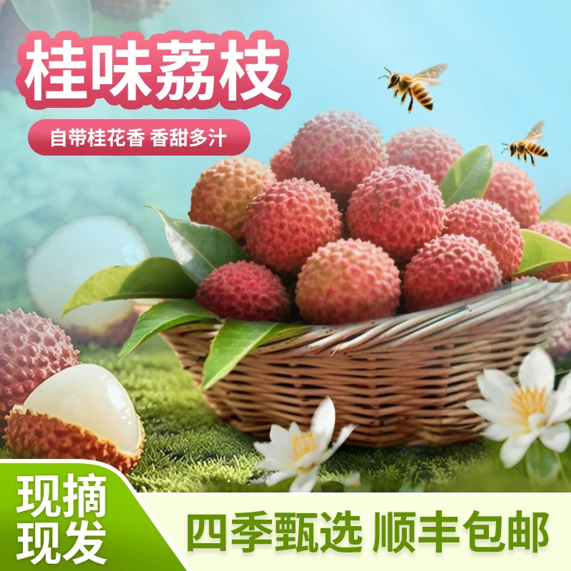 【顺丰冷链】正宗广东高州茂名桂味荔枝现摘现发 桂香浓郁肉厚多汁