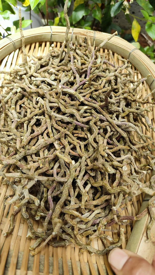 云南干货特产非『铁～皮～石～斛』