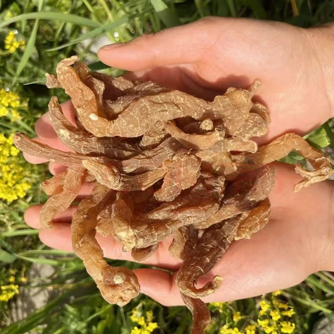 （非种植)仙人余粮，老虎姜，炖汤炖肉九蒸九晒另售干山药