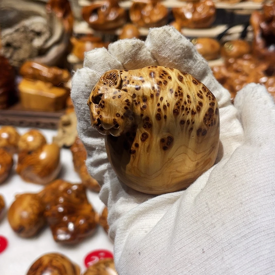 柏木（崖柏）太行崖柏