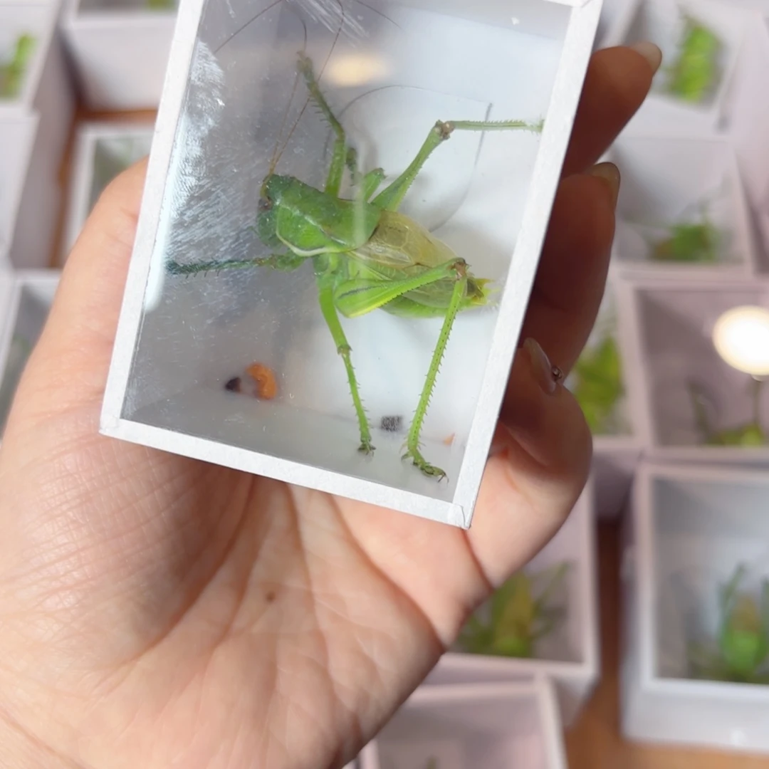 军***剑差价哈哈哈哈哈哈哈