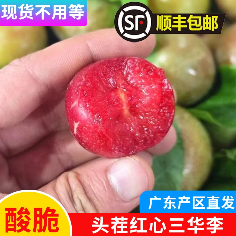 【顺丰包邮现货】广东省三华李红心李爽脆李子新鲜现摘当季应季水果