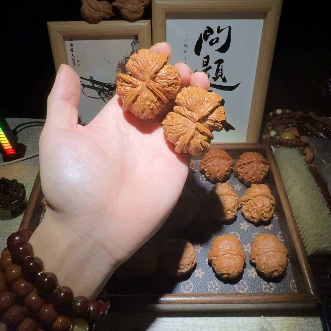 核桃白狮子球四49尺寸