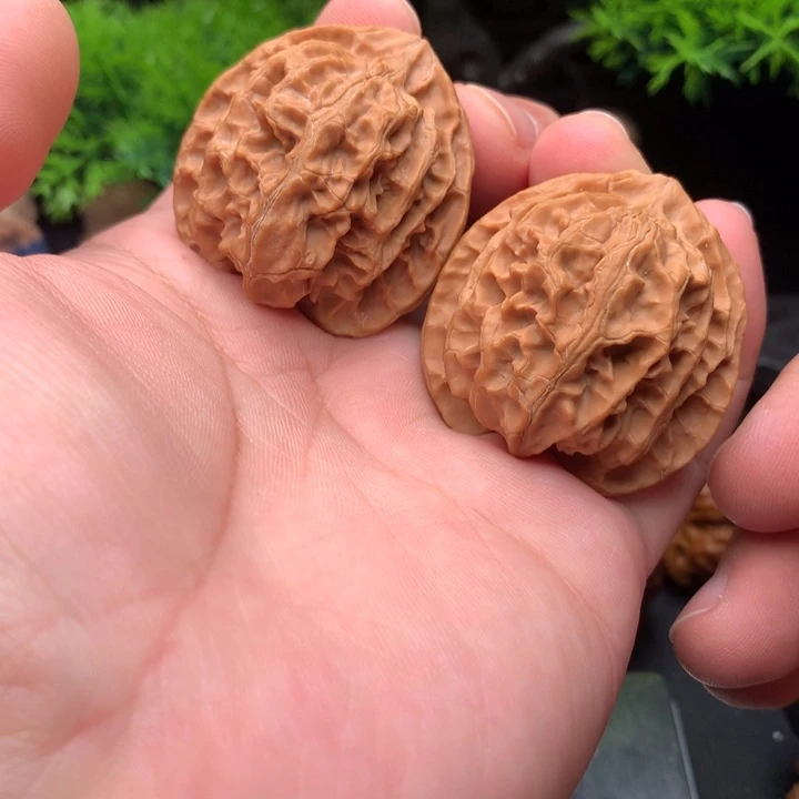 吊坠文玩核桃42尺苹果园