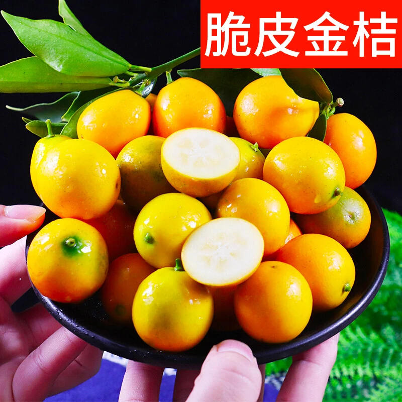 纯甜正宗滑皮金桔脆皮鲜果应季水果现摘现发整箱包邮