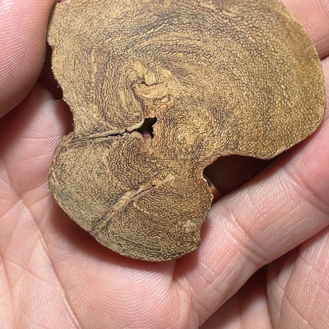 沉香吊坠老惠安10.2克切牌