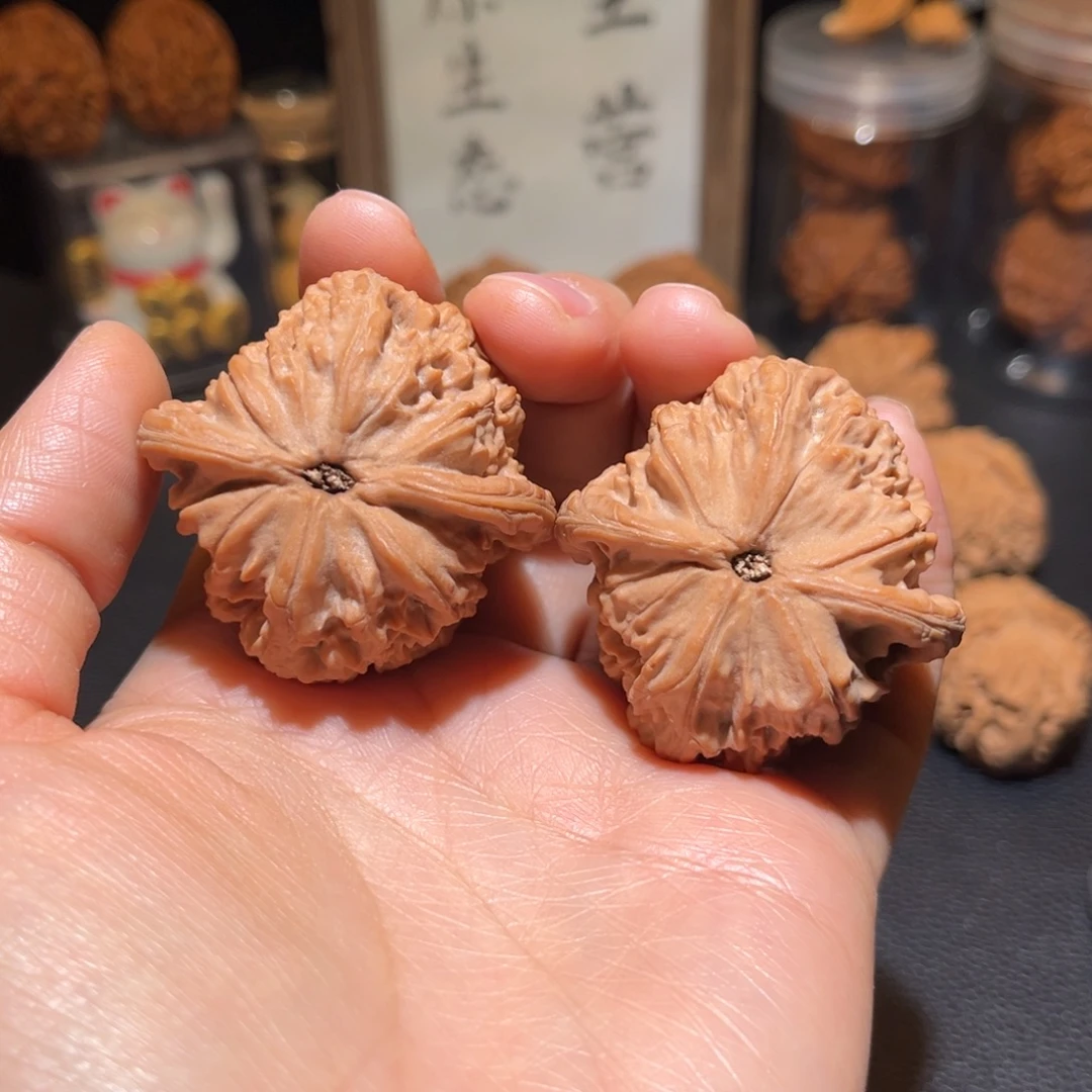 阿***飞文玩核桃把件红狮子43