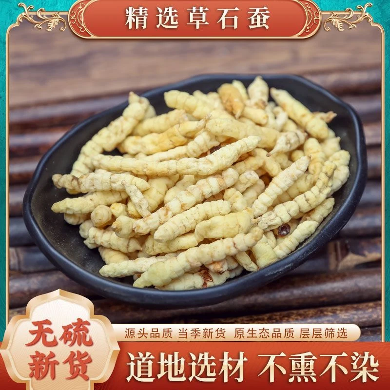【草石蚕】云南虫草参地参野生干货白虫草竹节参草石蚕煲汤泡酒