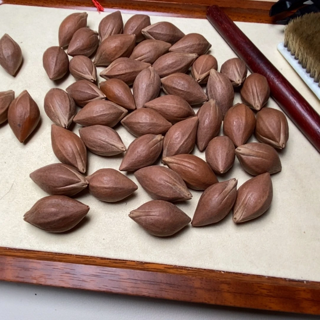 橄榄核其他1.7✖️3.3散核开播福福