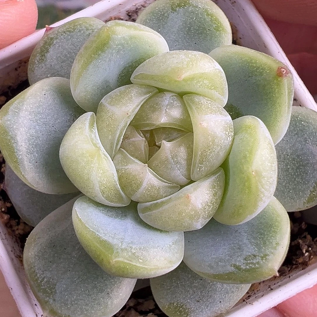 财富密码。