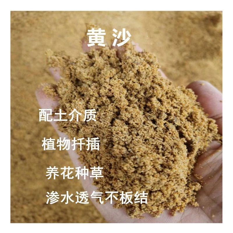 黄沙纯天然河沙细沙多肉种植种花沙子乌龟冬眠沙鱼缸沙建筑沙水族