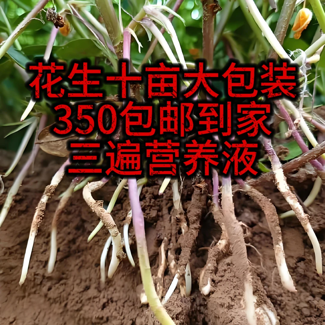 花生三遍大包装十亩地营养液包邮