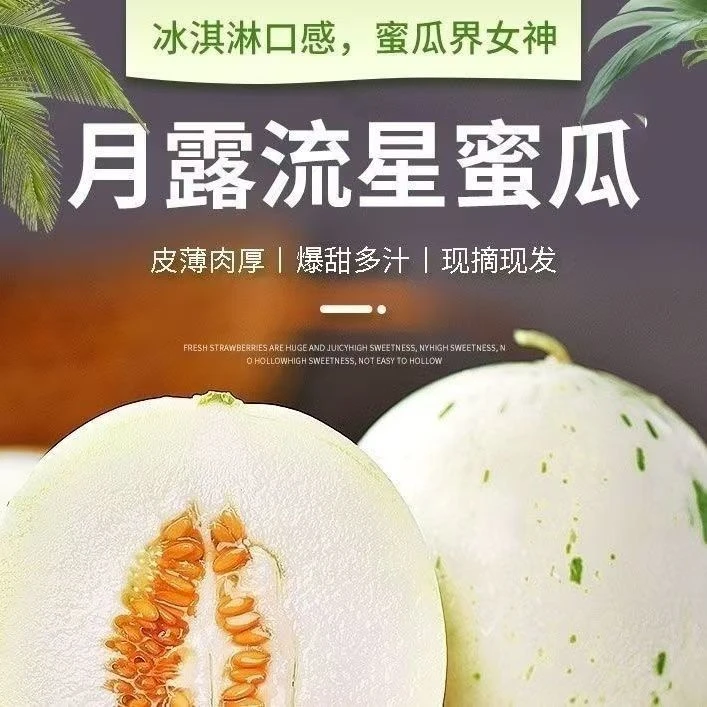 【王大水专属】蜜露流星月露梦露甜瓜山东头茬新鲜应季水果