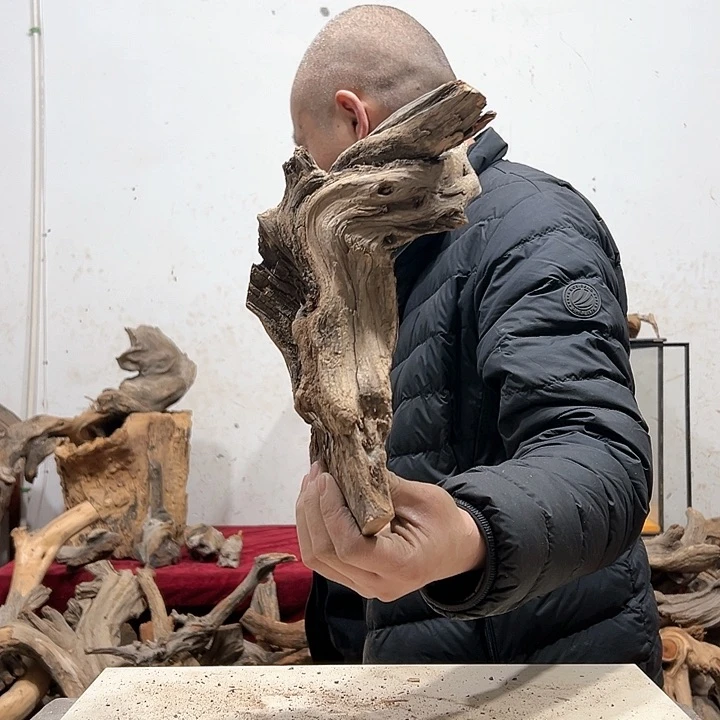 柏木弓**就我们的生活是以自己