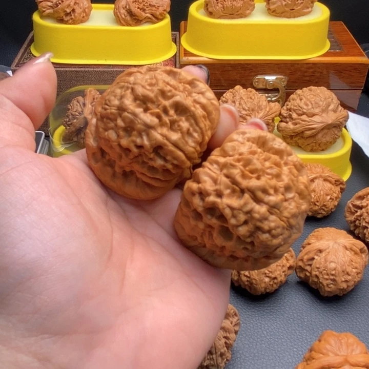 一***界把件文玩核桃719龙顶48全品