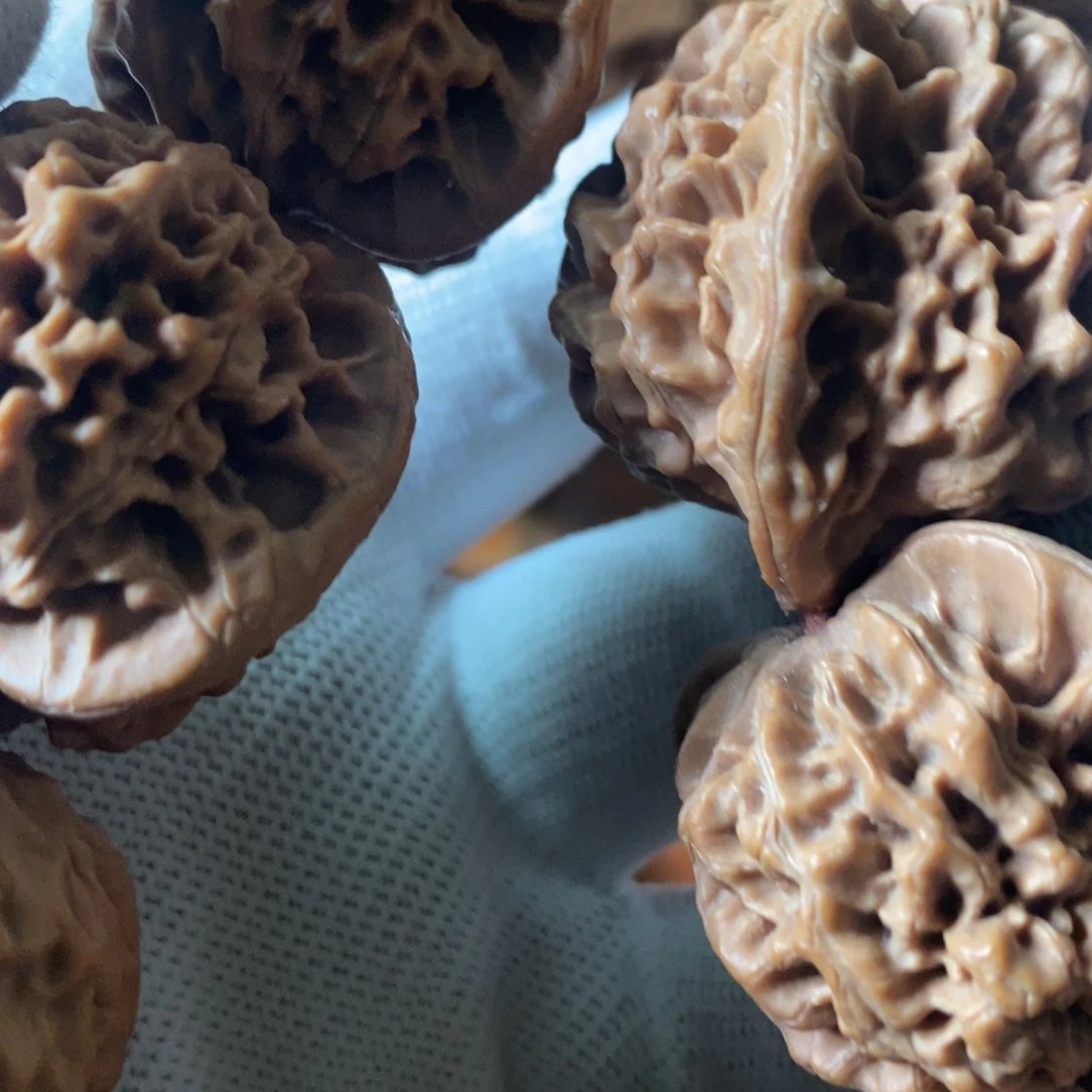 林**～秦岭南侧和东北北部部分