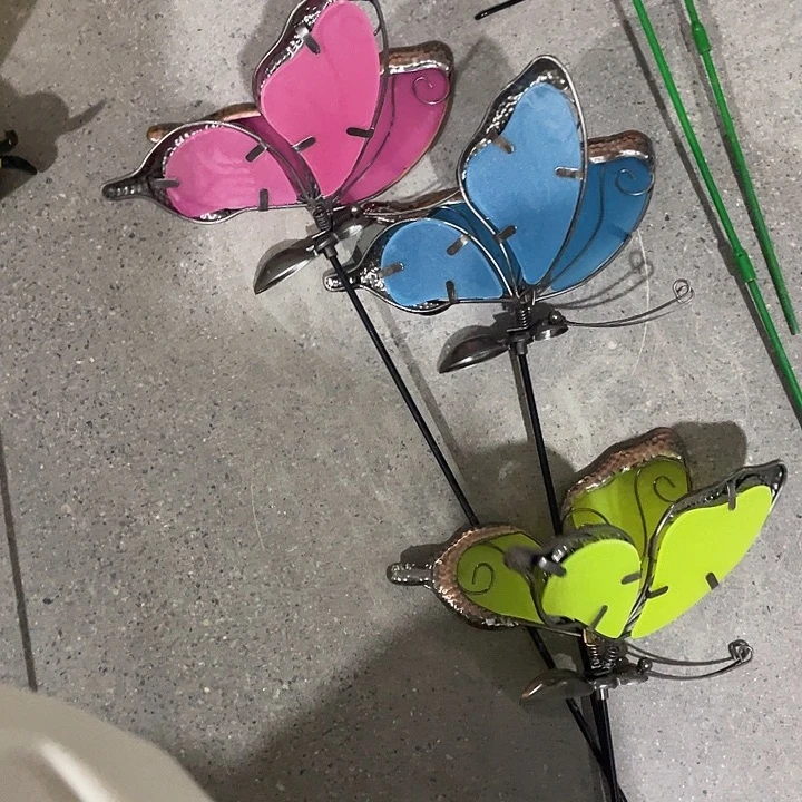 样品样品蝴蝶花插三个