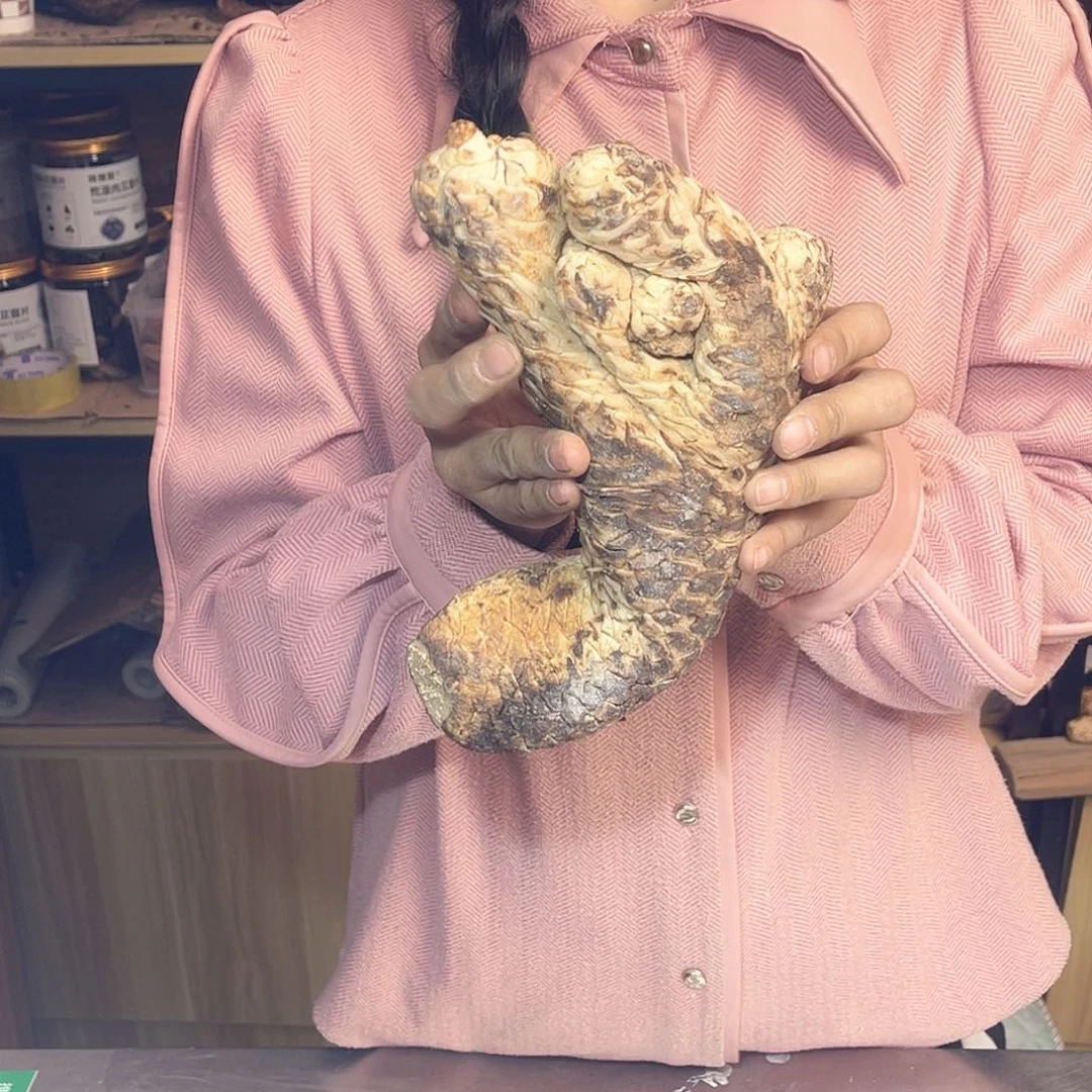 中国大陆造型佛手1.5斤