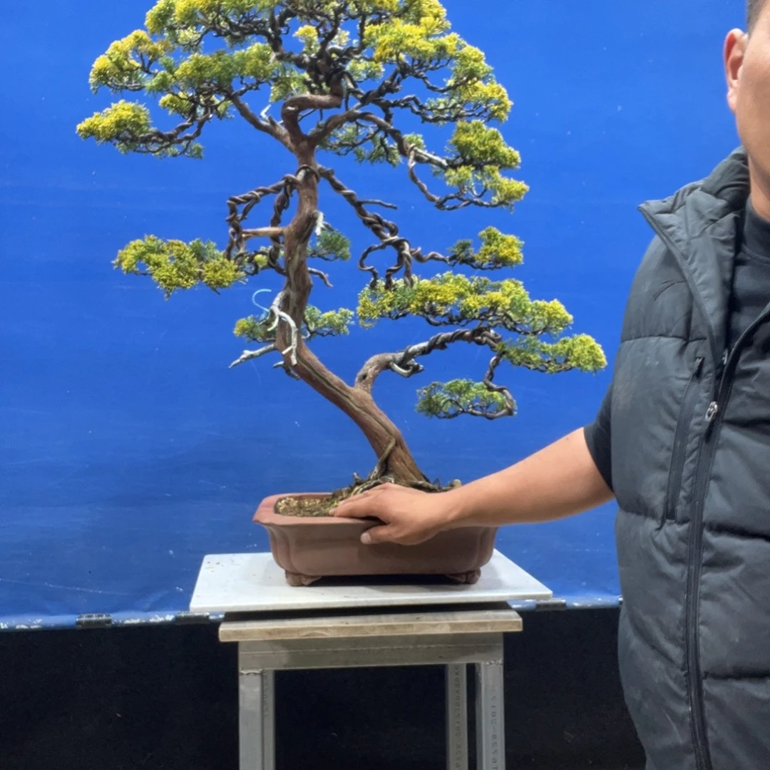 N***、无花朵888888888888