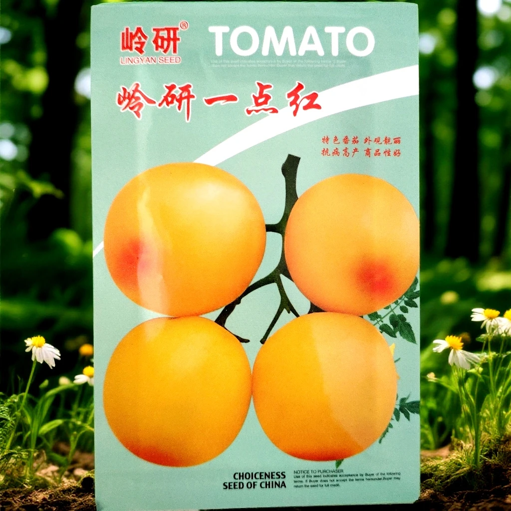 岭研一点红柿子籽300粒左右