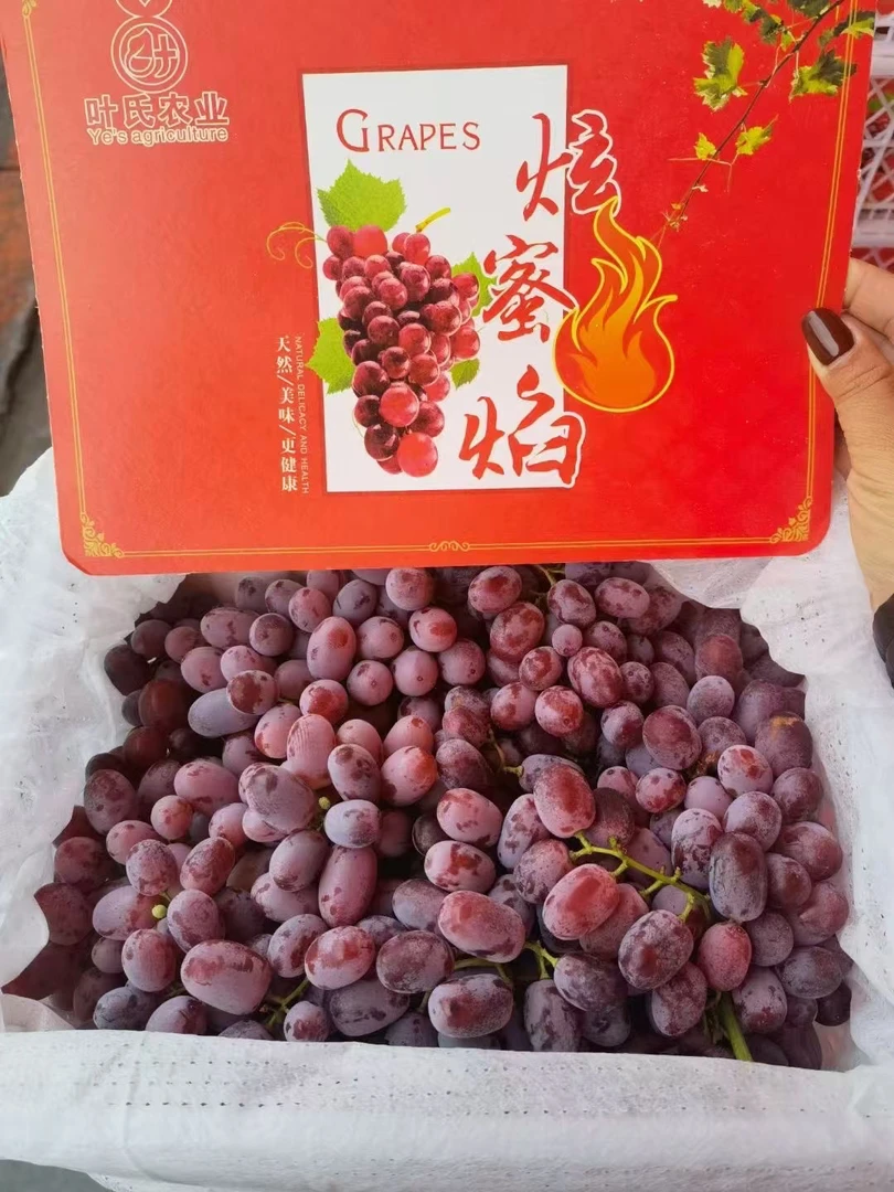 新疆无籽红提4斤净