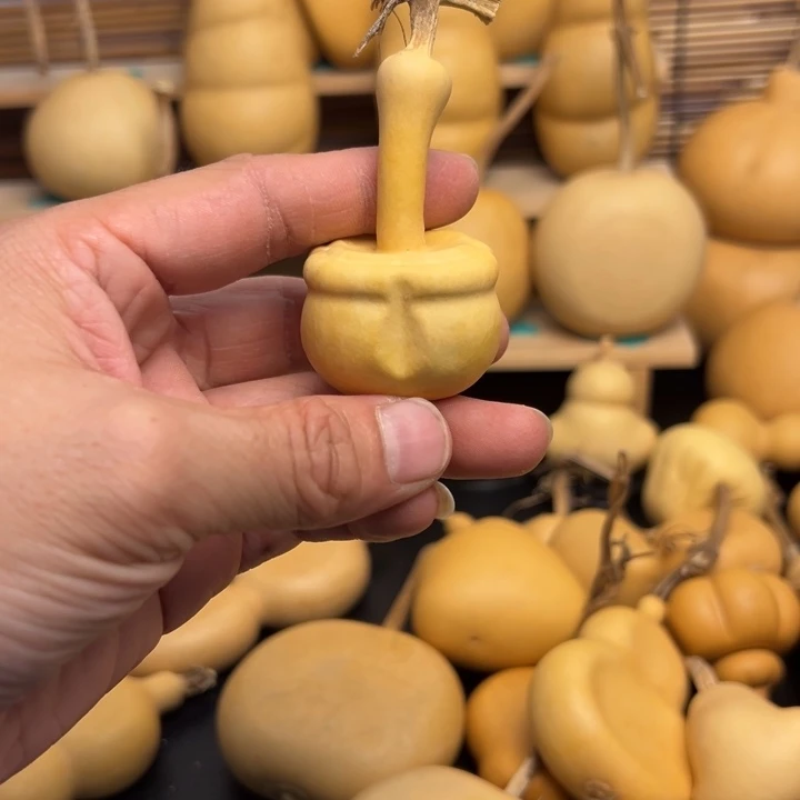 555566666666666