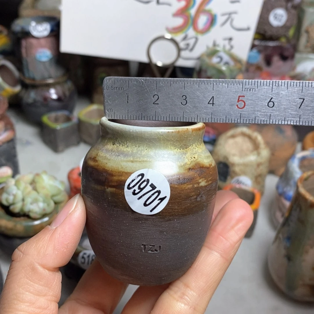 花盆拍5送一个小礼物