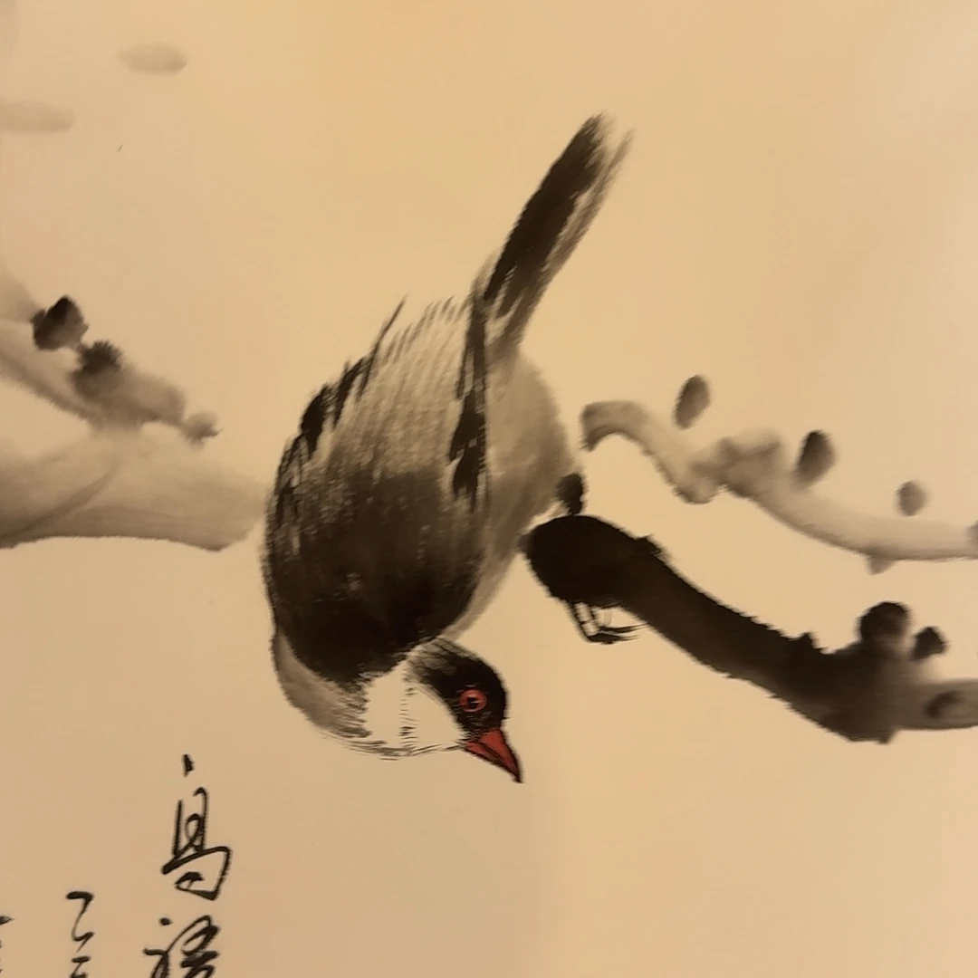 国画新号开播福利多多