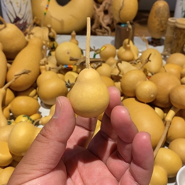 小***光精品葫芦手把葫芦25